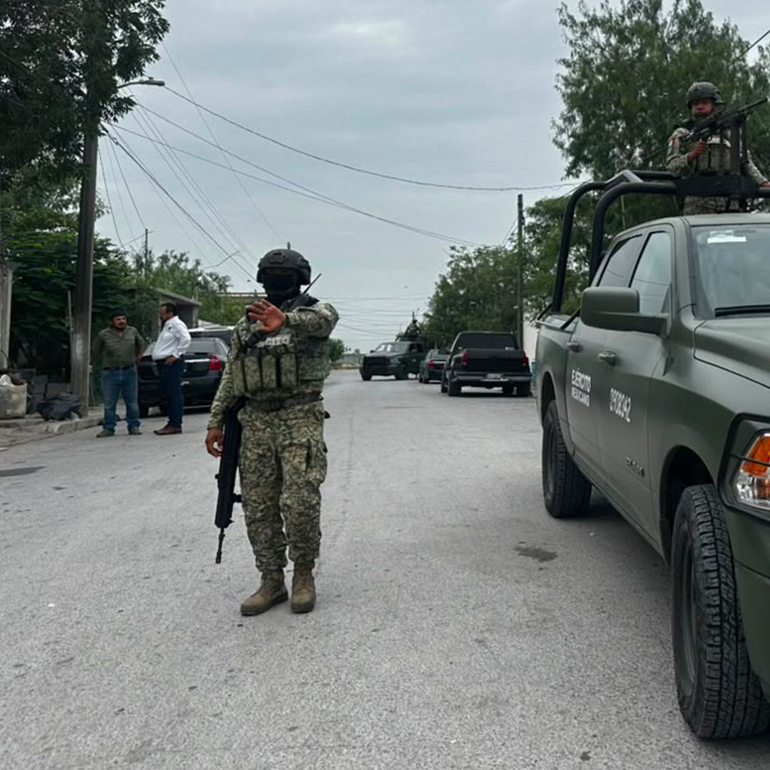 Localizan un León Dentro de una Casa Abandonada en Matamoros